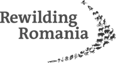 Rewilding Romania