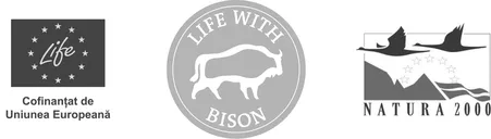 Life with Bison