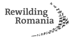 Rewilding Romania